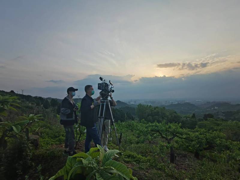 创意破圈！容城县电商产品宣传视频用故事化叙事引爆流量