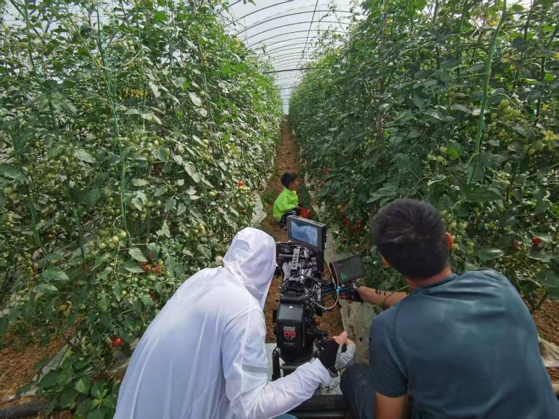 容城县产品宣传视频拍摄公司进阶指南，助力品牌抢占传播高地